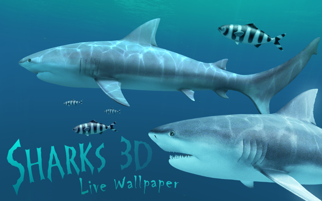 Sharks 3D