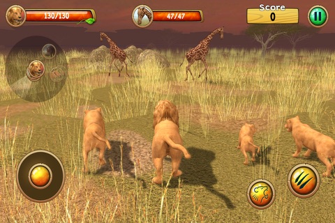 Wild Lion Simulator 3D screenshot 3