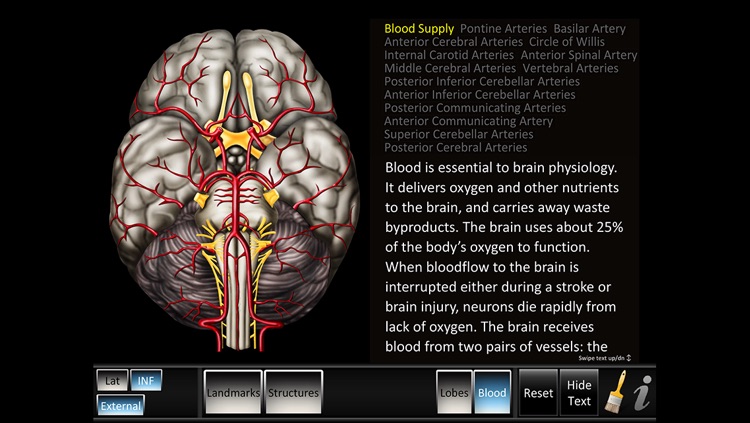 Cerebrum ID