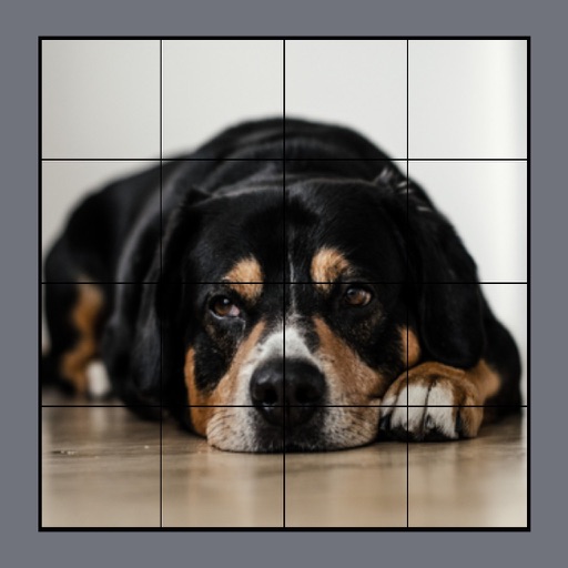 Dog Puzzles Extreme! 3 Icon