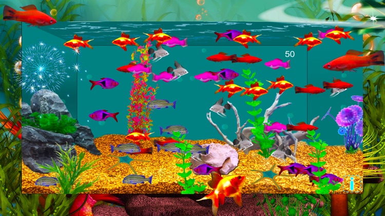 Aquarium Simulator