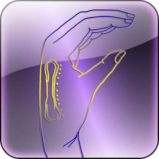 第二掌骨诊疗 icon