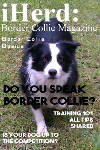 iHerd: Border Collie Lovers Magazine screenshot 3