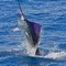 Fishing Guide is the complete video guide for you to learn Fishing