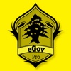 eGovernment-Pro