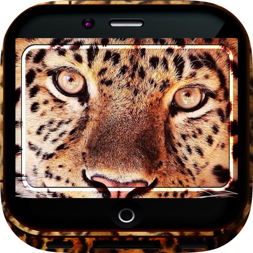 Animal Skins Gallery HD –  Leather Retina Wallpapers , Themes and Backgrounds