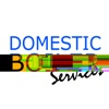 Domestic Boiler Services