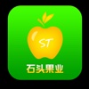 中国果业信息网