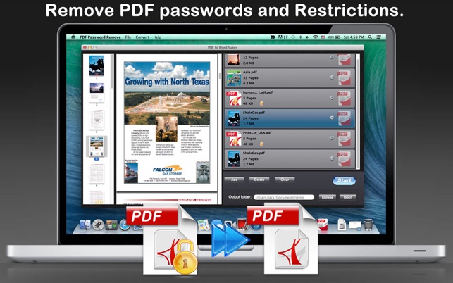 PDF Password Remove