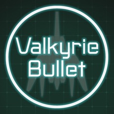 Activities of Valkyrie Bullet