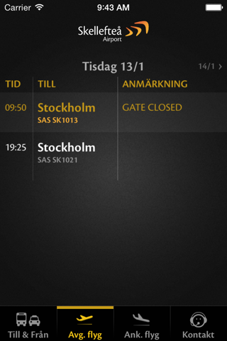 Skellefteå Airport screenshot 2