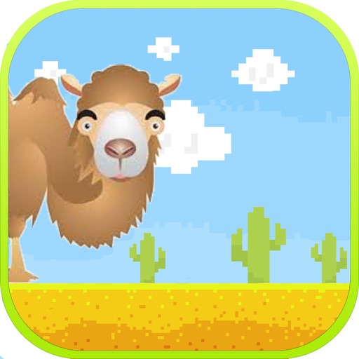 Jumpy Camel iOS App