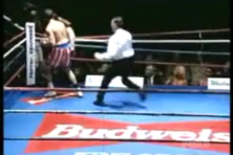 Funny Boxing ! screenshot 3