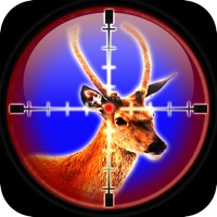 Deer Shooting Season Buck Animal Safari Hunting Tournament Challenge