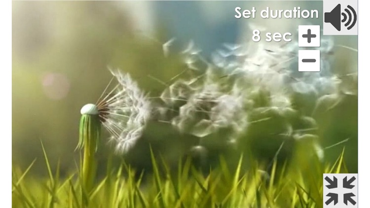 Dandelion (Breathing Games) screenshot-3