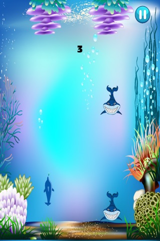 Dolphins vs Sharks Survival Craze - Fun Master of the Sea Challenge Paid screenshot 4