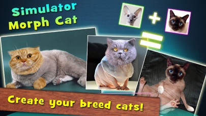 How to cancel & delete Simulator Morph Cat from iphone & ipad 1