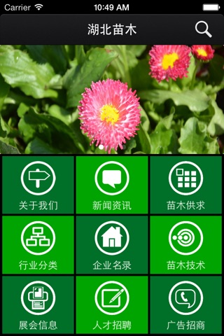 湖北苗木 screenshot 2