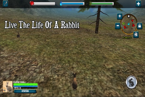 Rabbit Simulator screenshot 4