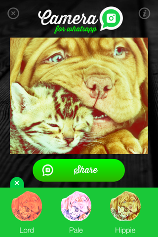 Camera for WhatsApp - Share amazing photos with your friends screenshot 2