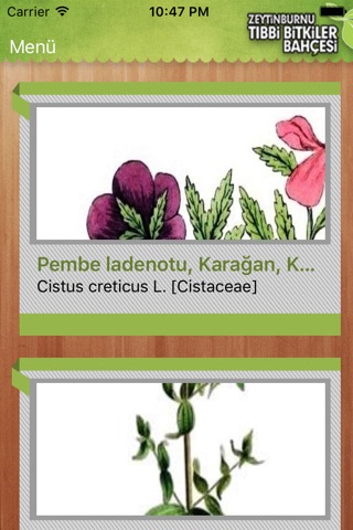 Zeytinburnu Tıbbi Bitkiler Bahçesi screenshot 3