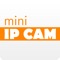 Mini IP Cam