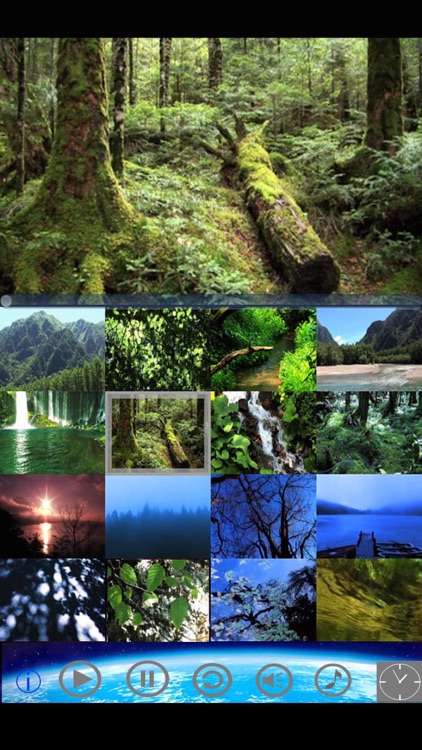 Healing & Relax "Sleeping Mind Relaxation 2”Forest