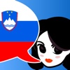 Lingopal Slovene - talking phrasebook