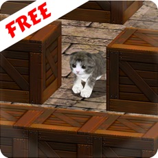 Activities of Cu Cat in Slide The Walls 3D Free