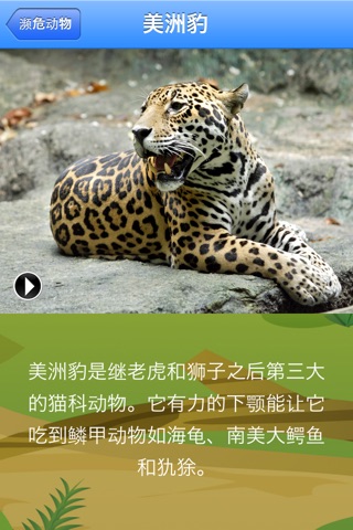 濒危动物 Threatened Species screenshot 4