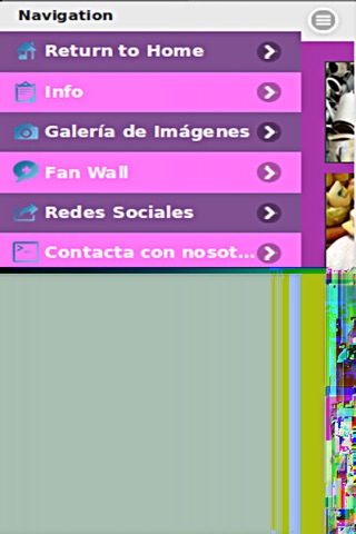 El Mercado de Arroyo screenshot 2