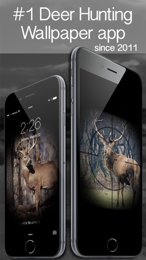 Deer Hunting Wallpaper! Backgrounds, Lockscreens, Shelves(圖1)-速報App