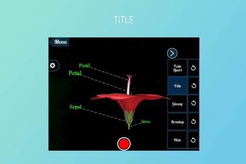 Hibiscus 3D screenshot 2