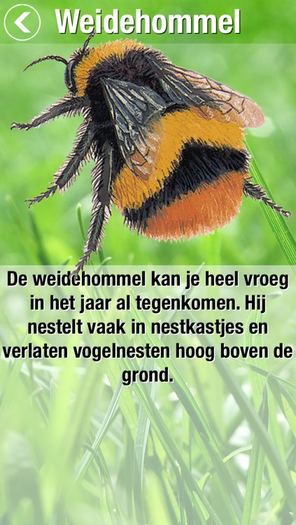 Zoekkaart Hommel