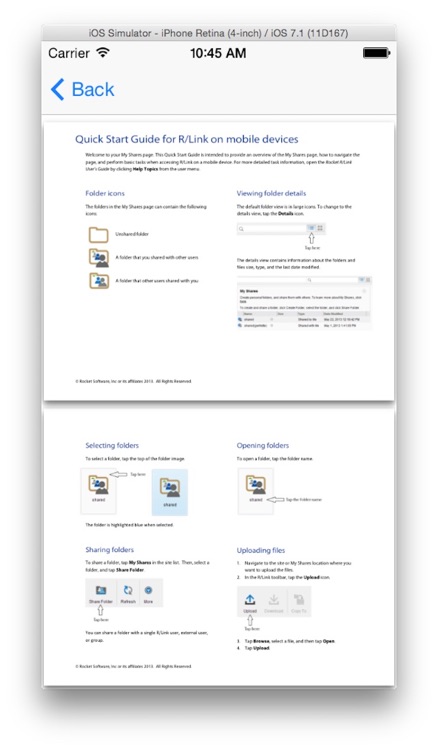 RLink Client for iPhone