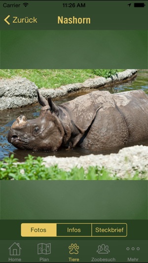 Zoo Basel(圖4)-速報App