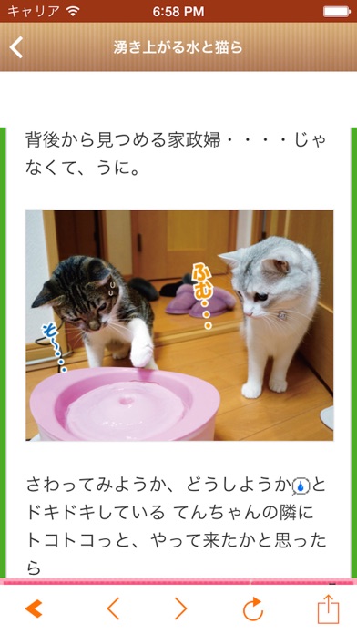 日刊ねこ新聞 Cat Blog Reader For Japanese Cat Lover For Android Download Free Latest Version Mod 21