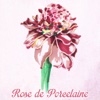 Rose de Porcelaine