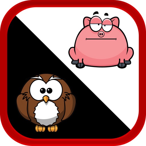 Don't Touch The Angry Pigs iOS App