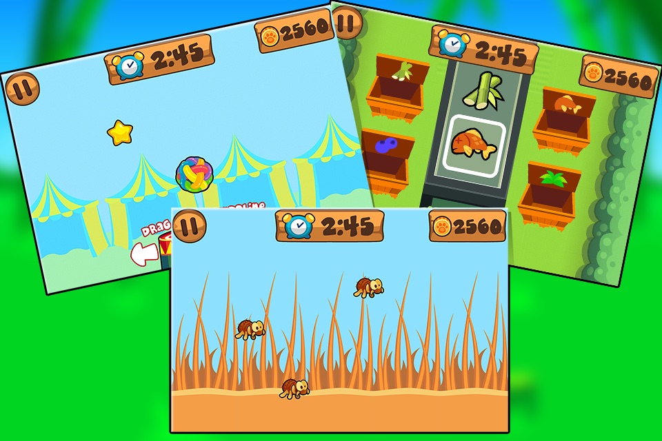 My Virtual Bear - Pet Puppy Game for Kids, Boys and Girls screenshot 4