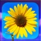 Using all the power of the iOS5, PHOTO5 allows you to combine 15 filters to enhance your photos in unique ways like a real pro
