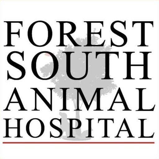 Forest South Animal Hospital