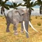 Real Elephant RPG Simulator
