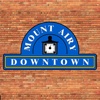 Mount Airy Downtown Business Association