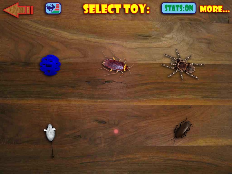 Virtual Cat Toys HD