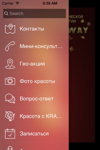 ЦЭК KRAFTWAY screenshot 2