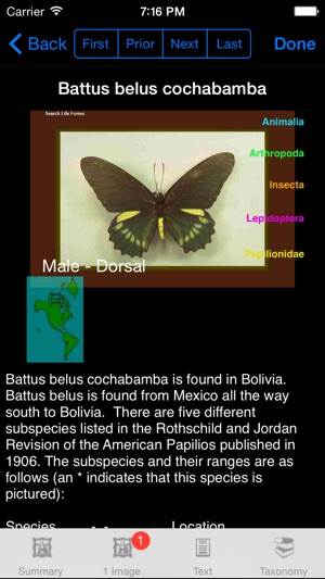 Butterflies of the World - A Butterfly App(圖5)-速報App