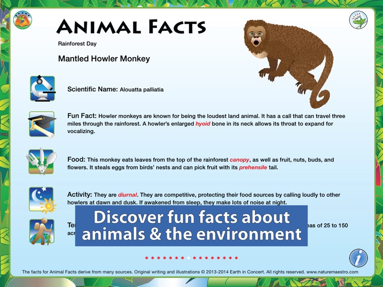 Nature Maestro Rainforest Day screenshot-4