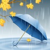 Rain Sounds-Natural raining sounds, thunderstorms, & rainy ambiance to help relax, aid sleep & focus