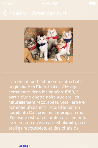 Encyclopaedia of Kittens by Breed - with Cute Pics screenshot 4